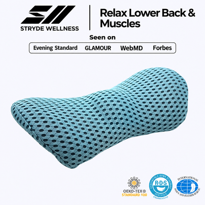 Stryde Lumbar Support Pillow