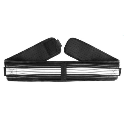 Stryde Lumbar Support Belt